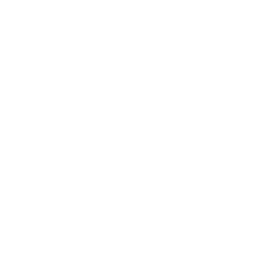 Schuhe von kendall kylie