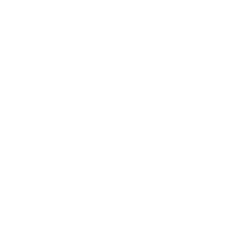 Schuhe von lodi