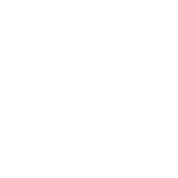 Schuhe von stuart weitzman